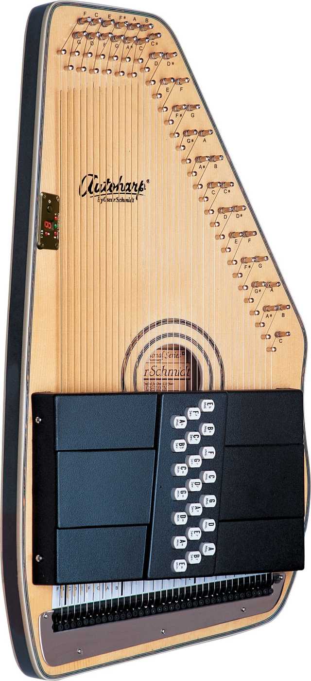 June Carter Autoharp