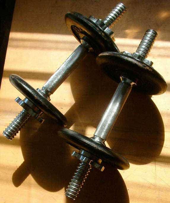 How Heavy Are the Dumbbells You Lift? - Wikipedia