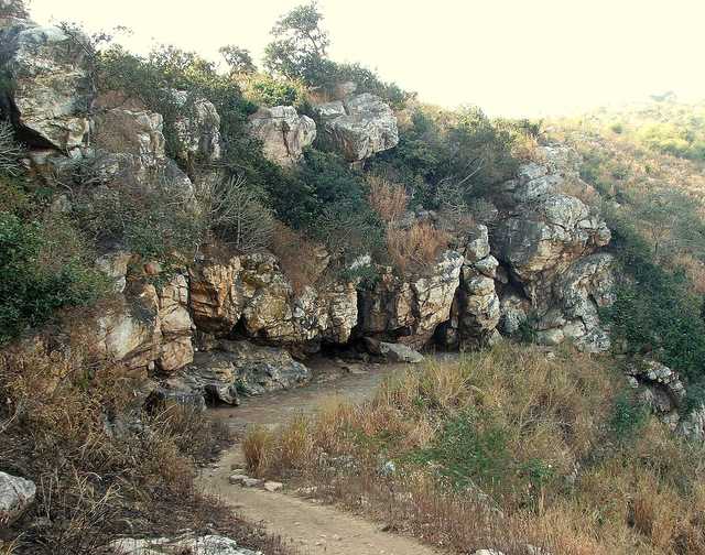 Saptaparni Cave Wikiwand