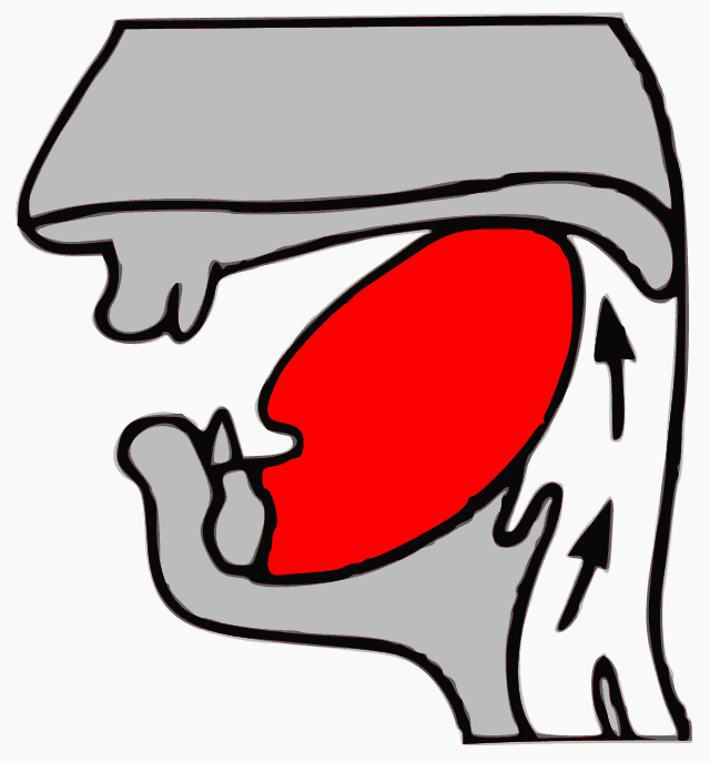 Consonne vélaire Wikiwand