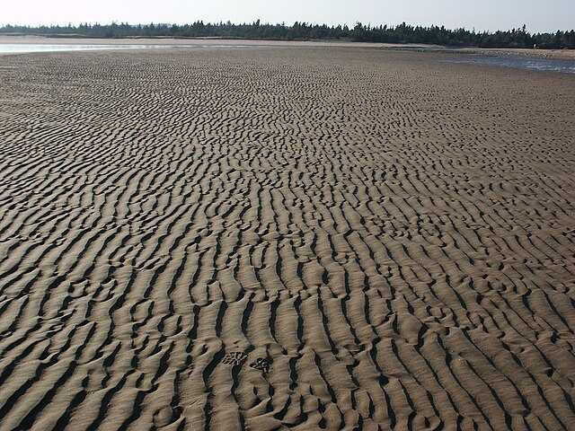 Ride de courant Wikiwand