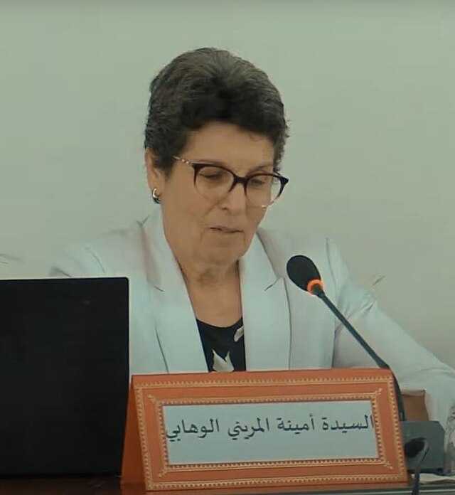 Amina Lemrini Wikiwand