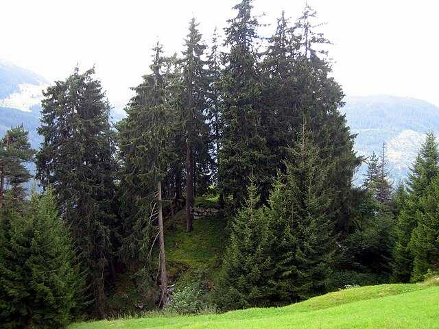 Burg Salons Wikiwand