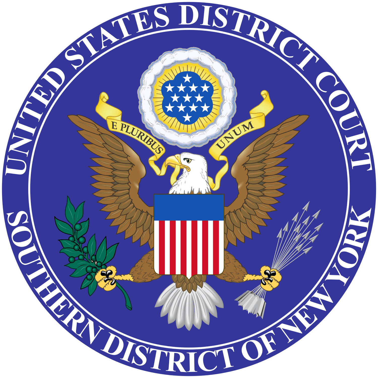 What Does The Us District Court Hear