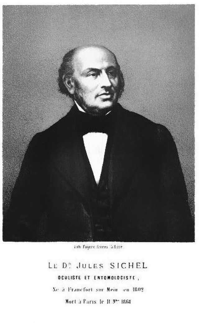 Frédéric Jules Sichel Wikiwand