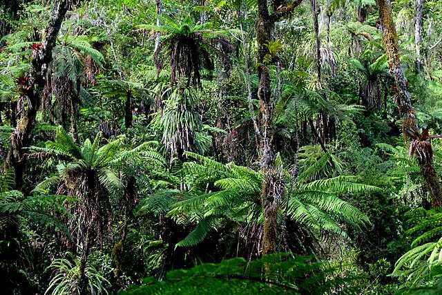 Grande Colline National Park Wikiwand