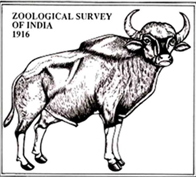 Zoological Survey of India Wikiwand
