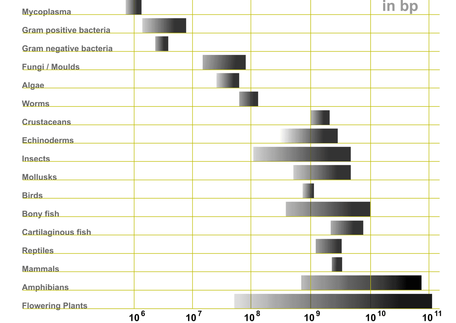 genome-size-wikiwand