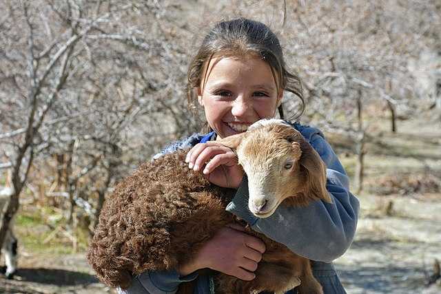 Wakhi people Wikiwand