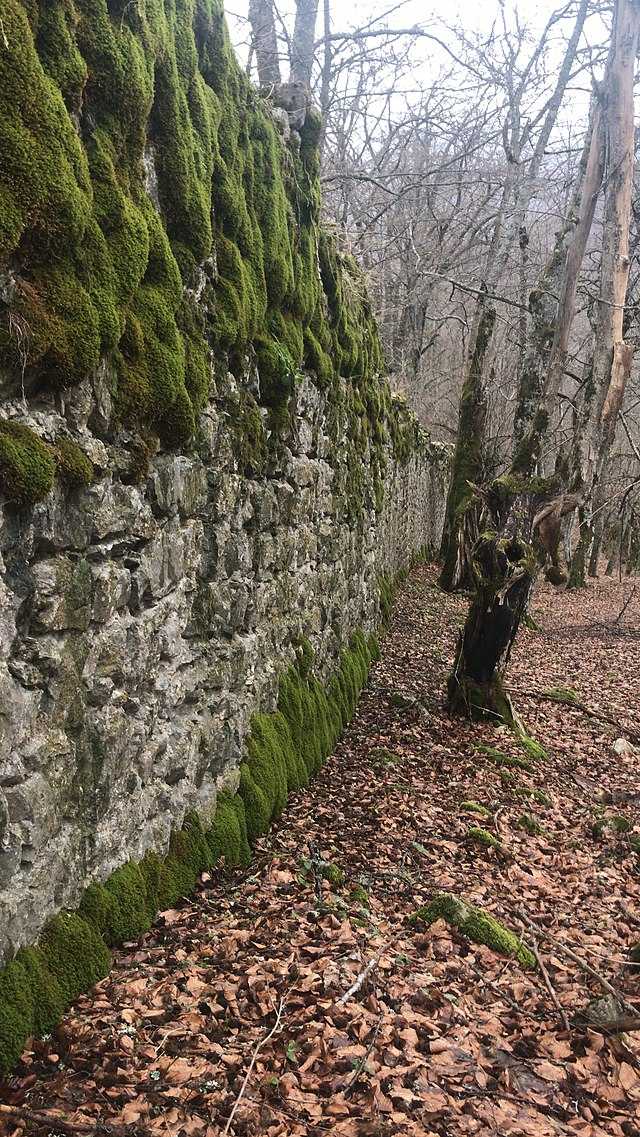 Pavlovac (fortress) Wikiwand
