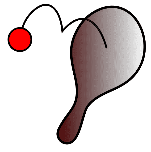 Paddle ball Wikiwand