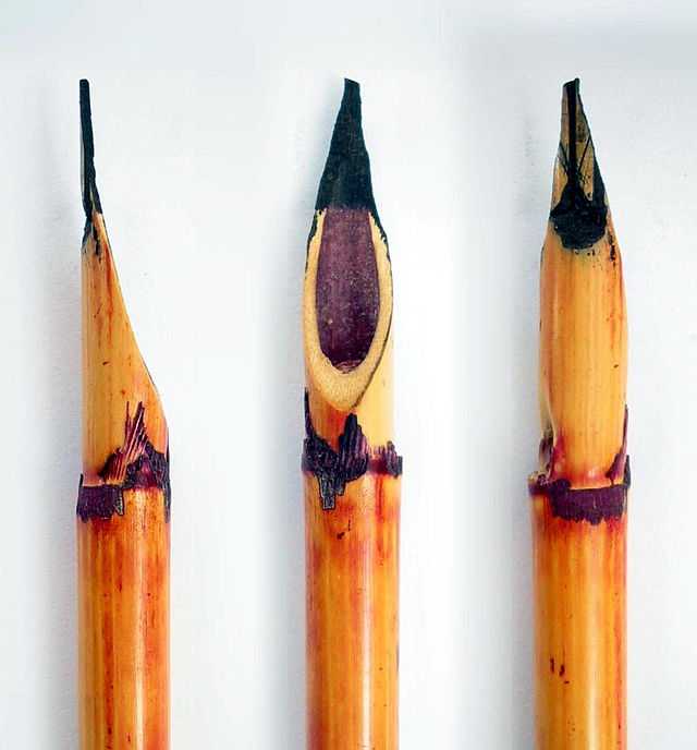 Reed pen - Wikiwand