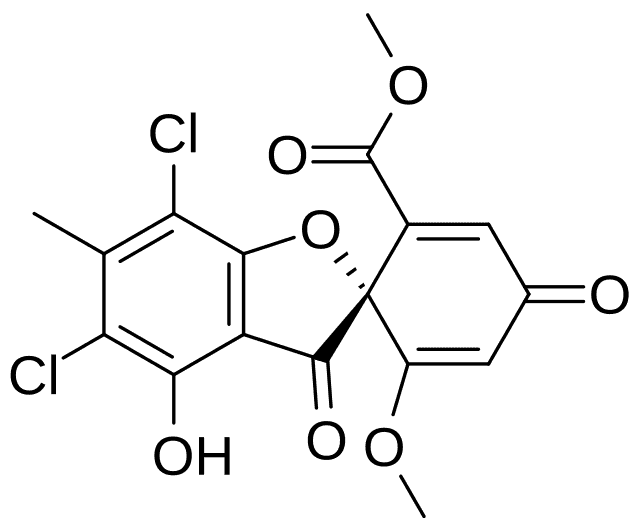 Geodin - Wikiwand