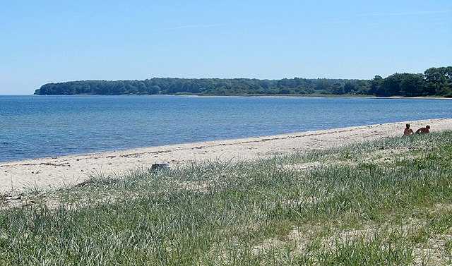 Hedensted Municipality Wikiwand