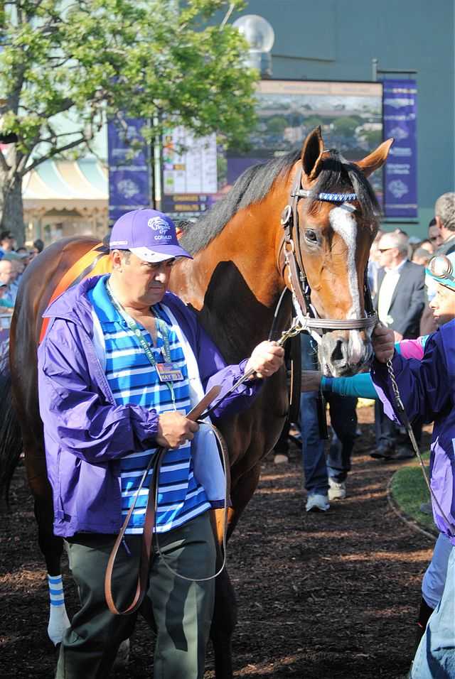Gormley (horse) Wikiwand