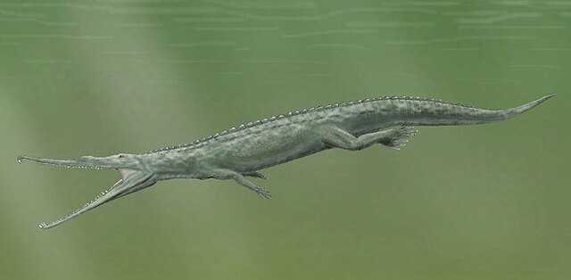 Thecodontia Wikiwand