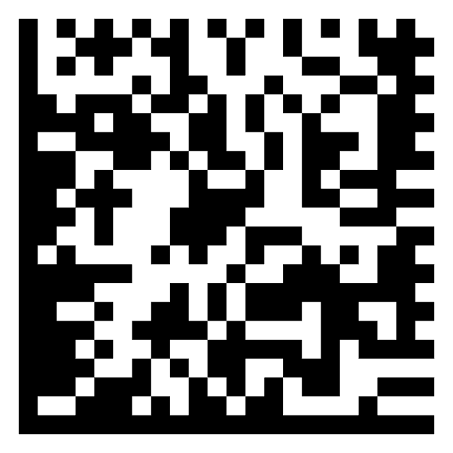 Data Matrix - Wikiwand