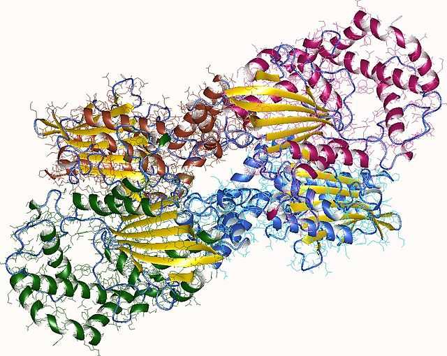 酸性ホスファターゼ Wikiwand