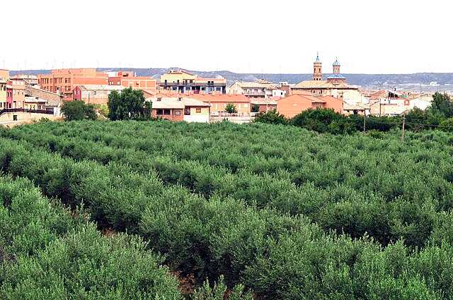 Muel (Saragossa) Wikiwand