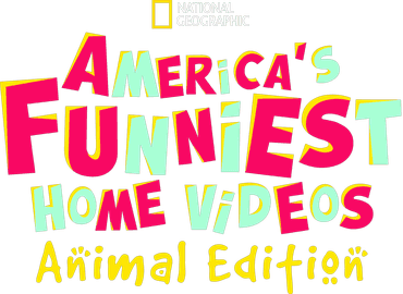 America's funniest 2024 home videos upload