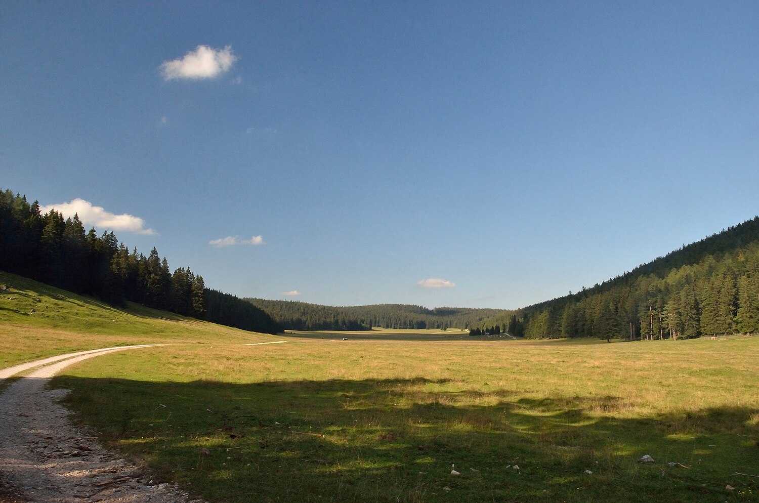 Bodenwiese Wikiwand
