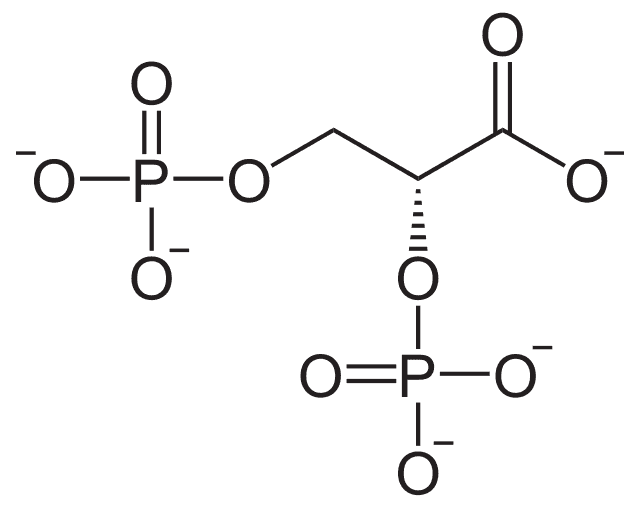 2,3Biphosphoglycerinsäure Wikiwand