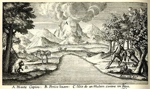 Historia del Nuevo Reino de Granada Wikiwand