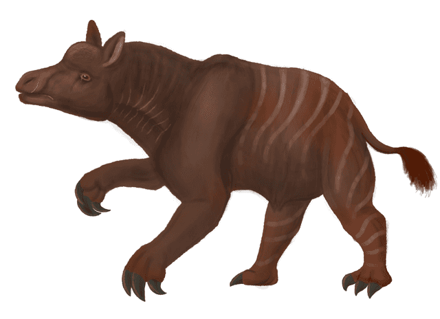 Tylocephalonyx Wikiwand